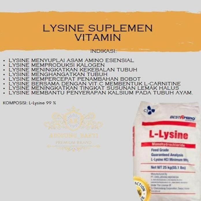 ready LYSINE 1 KG SUPLEMEN VITAMIN KUCING ANJING UDANG IKAN  LYSINE 1 KG