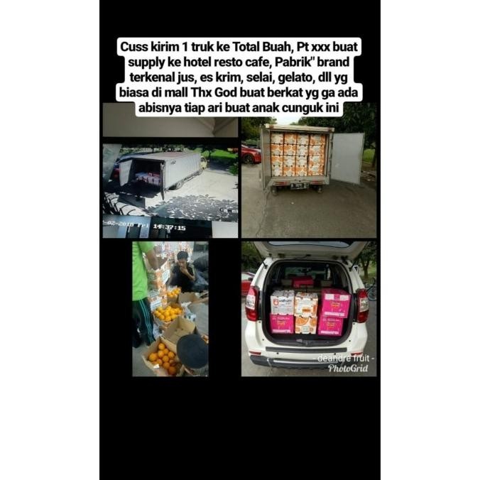 

Promo Murah Buah Blueberry Import Frozen Buah Beku Blue Berry Limited Edition