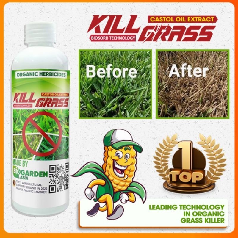 kill grass herbisida biologis