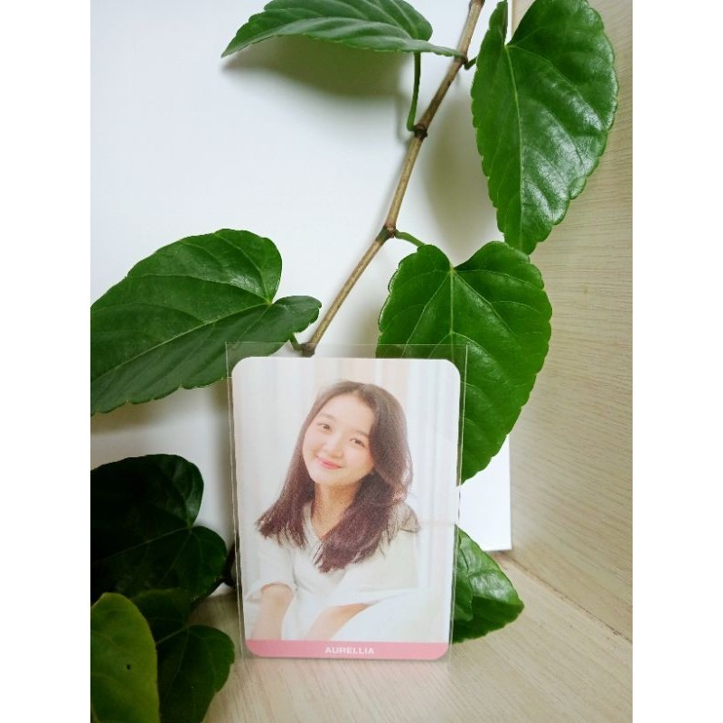 photocard JKT48 LIA the morning call