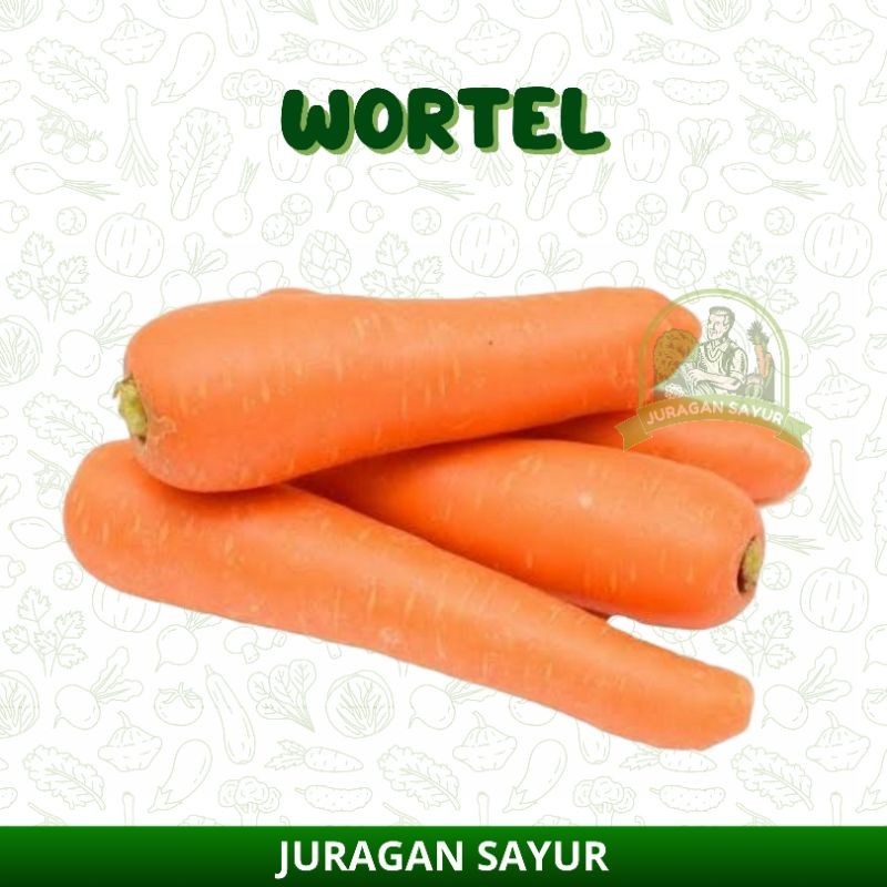 

WORTEL FRESH