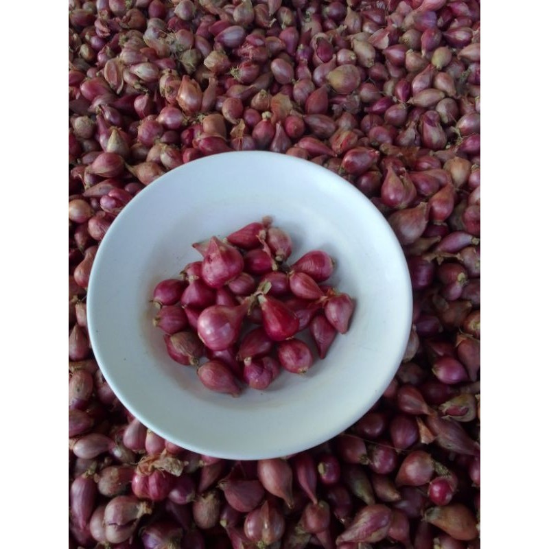 

1 kg bawang merah ukuran campur