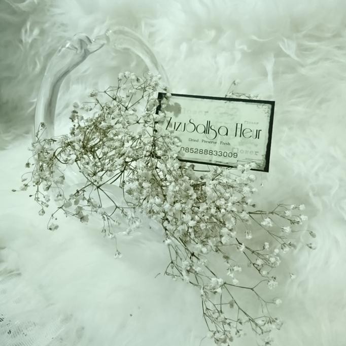 Terbaik Dried flower baby breath asli bunga kering baby's breath .,