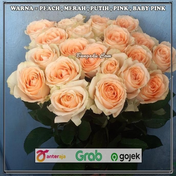 Special Bunga Mawar asli segar per 20 tangkai ,.