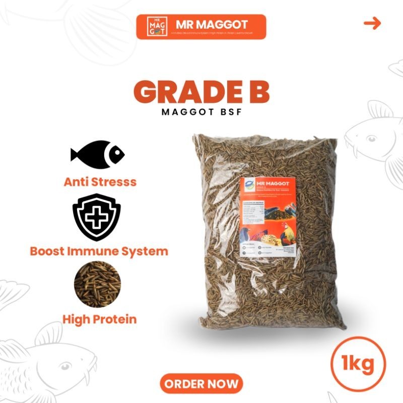 MR MAGGOT - Maggot Kering Grade B 1 kg