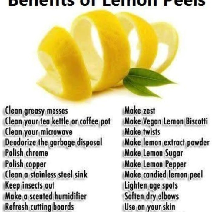 

Cinnamon Lemon Tea : Cinnamon And Dried Lemon Fruit (30 Tea Bag)