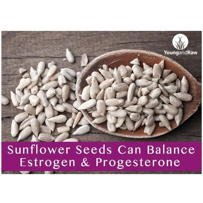 

Raw Sunflower Seed Kuaci Natural Biji Bunga Matahari Mentah 1kg 1000gr SS