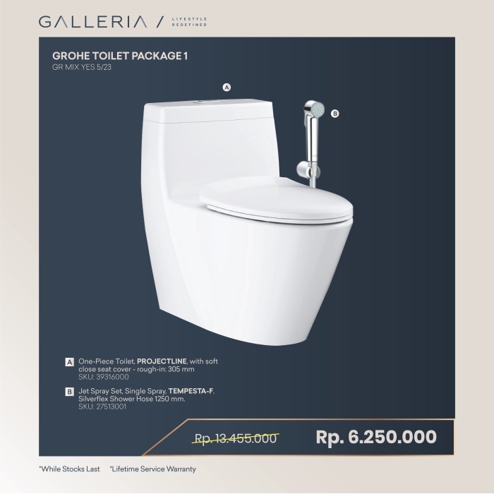 Grohe Projectline Wc / Grohe Paket Kloset Original Dan Terpercaya