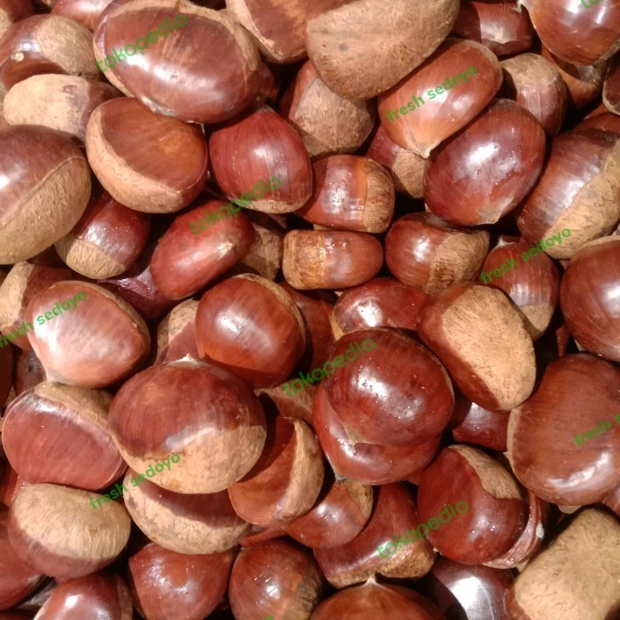 

kacang chestnut fresh mentah 200gr / kacang castanye