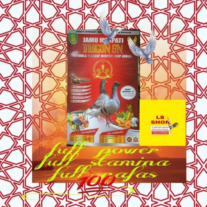 1 SASET DRAGON SN MERPATI JAMU BURUNG DARA SASANA NGAPAK SN