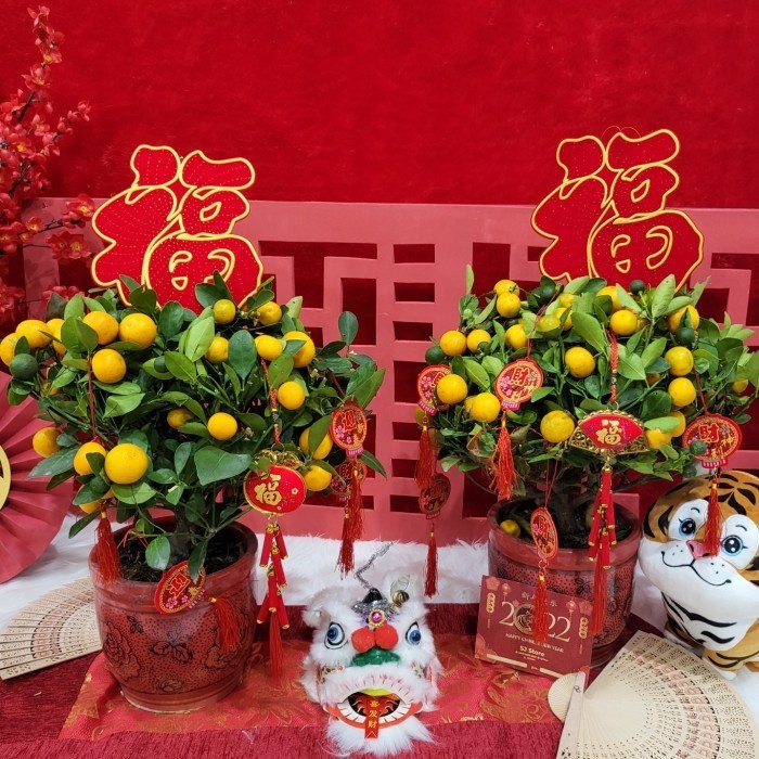 

Hampers Pohon Jeruk Imlek Hoki Chinese New Year Cny