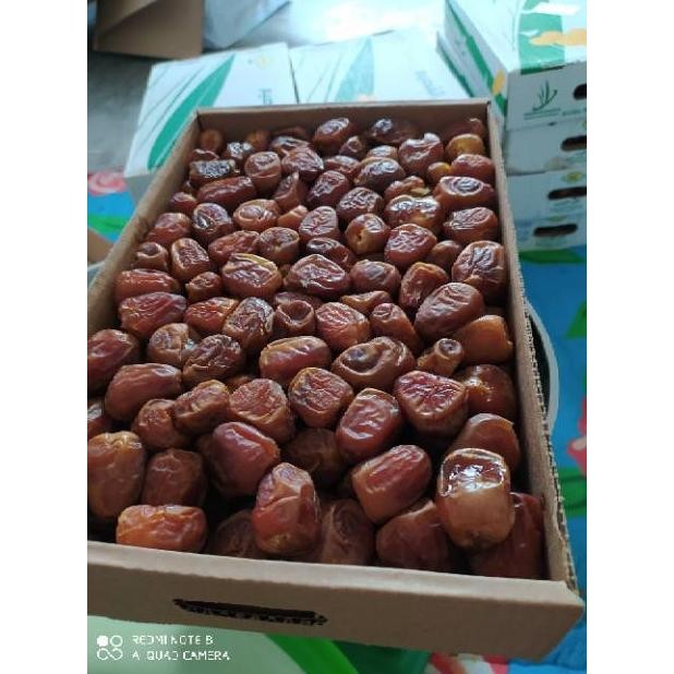 

Kurma Sukari Premium 3,2 Kg/Berat Dengan Kotak (Stok Baru!!) Terbaru