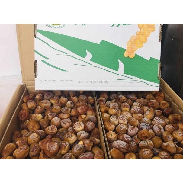 

Kurma Sukari 1Kg Repack Korma Sukkari Sukary Sukkary Sukariy 1 Kg Toples Basah Al Madinah Al-Qossim Alqosim Raja Dates Ruthob Madu Promo