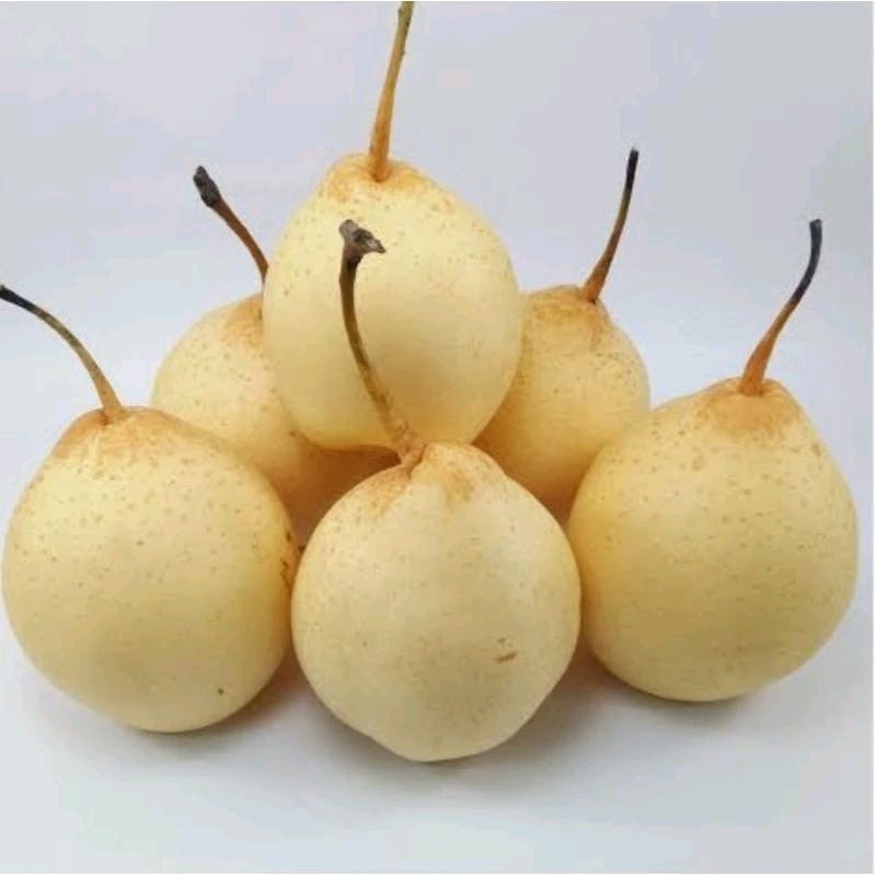 

Pear Yaklie Putih