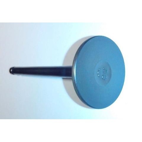 Klep Api Xtrail T31 Original Genuine Part