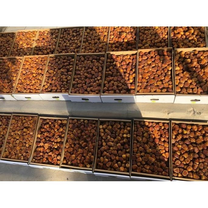 

Kurma Sukari Al Qassim 3 kg - Sukkari Dates HC NR ES77