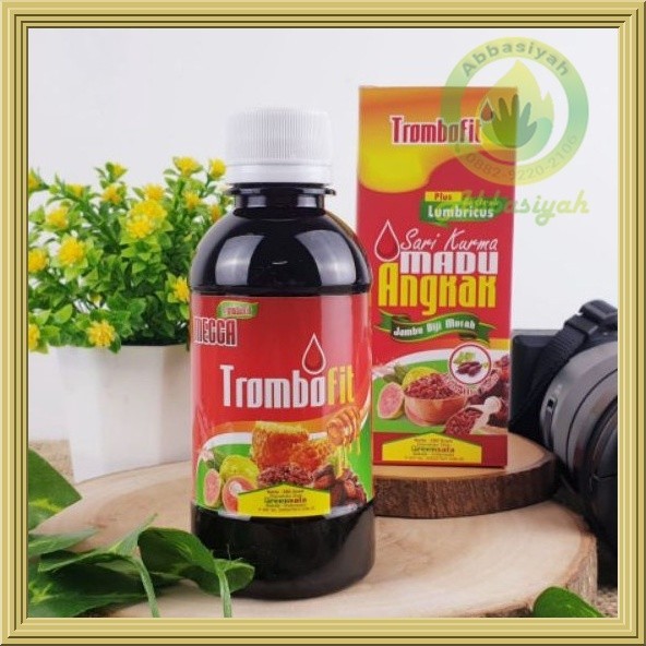 

Trombofit 280gr | Sari Kurma Madu Angkak Jambu Biji ekstrak lumbricus