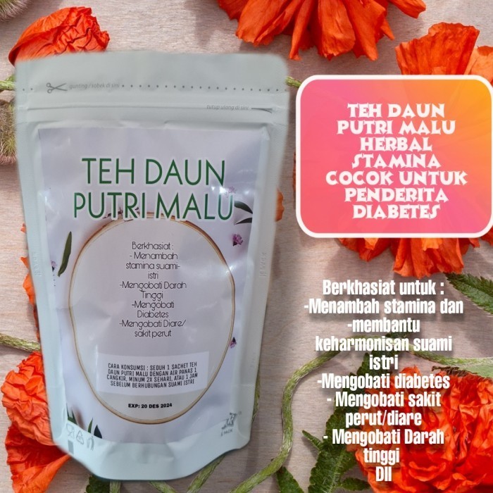 TEH DAUN PUTRI MALU HERBAL STAMINA PRIA COCOK UNTUK PENDERITA DIABETES