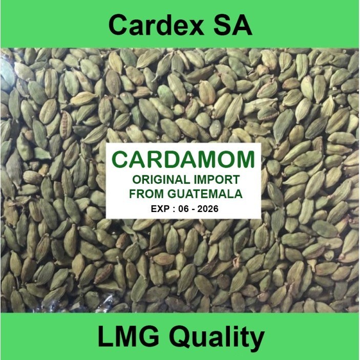 

Cardamom / Cardamon / Kapulaga Hijau / Cardex LMG 1 Kg