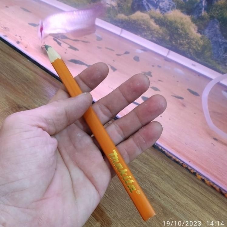

PENSIL MAKITA PANJANG 18CM / PENSIL TUKANG MERK MAKITA ASLI Q11