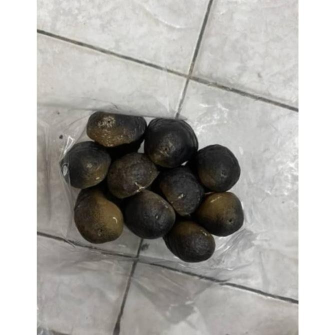 

Teripang Laut / Haisom Asli Belitung 1 Kg Isi 10 LA