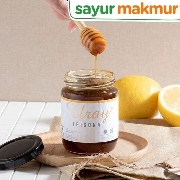 

Madu Uray Trigona 300 gram Sayurmakmur