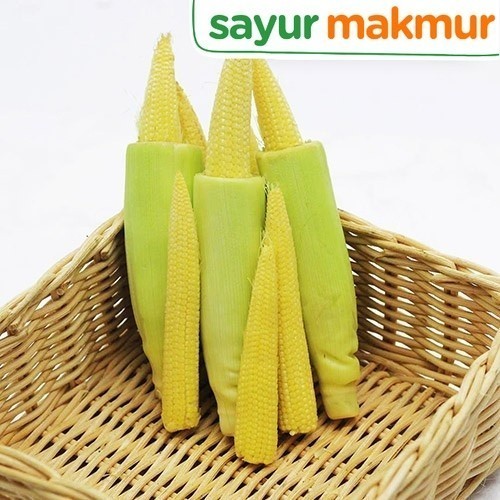 

Jagung Acar Konvensional 250 gram Sayurmakmur