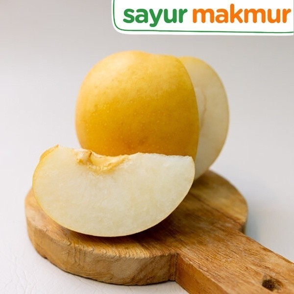 

Pir Singo Impor Impor 3 pcs Sayurmakmur