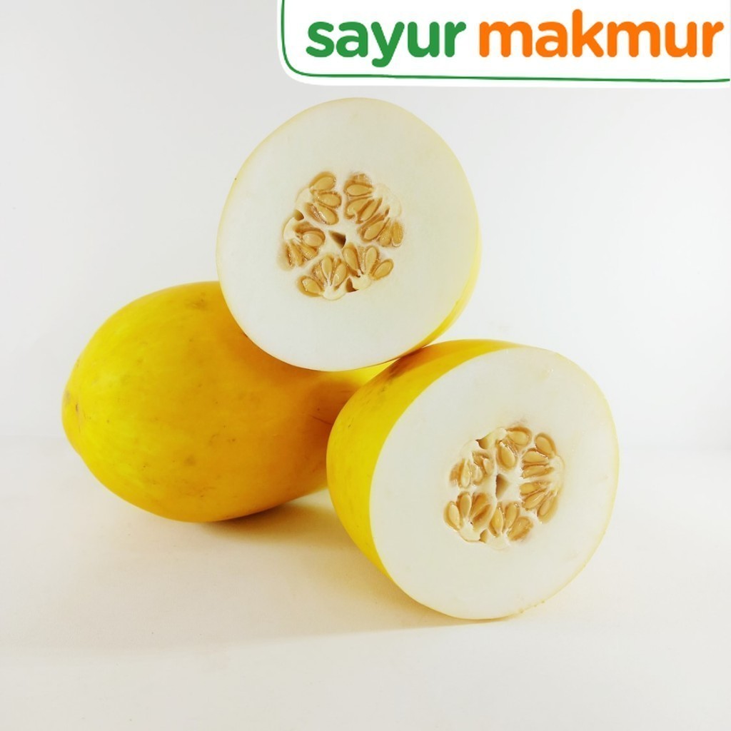 Timun Suri Konvensional 1 pcs Sayurmakmur