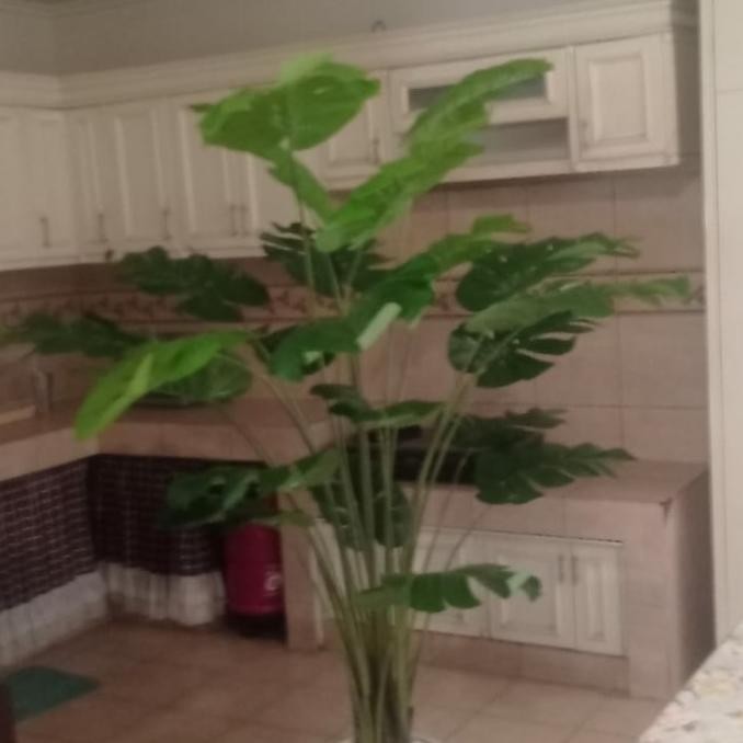 Pohon Monstera Jumbo/Bunga Artificial/Bunga Plastik/Bunga Hias