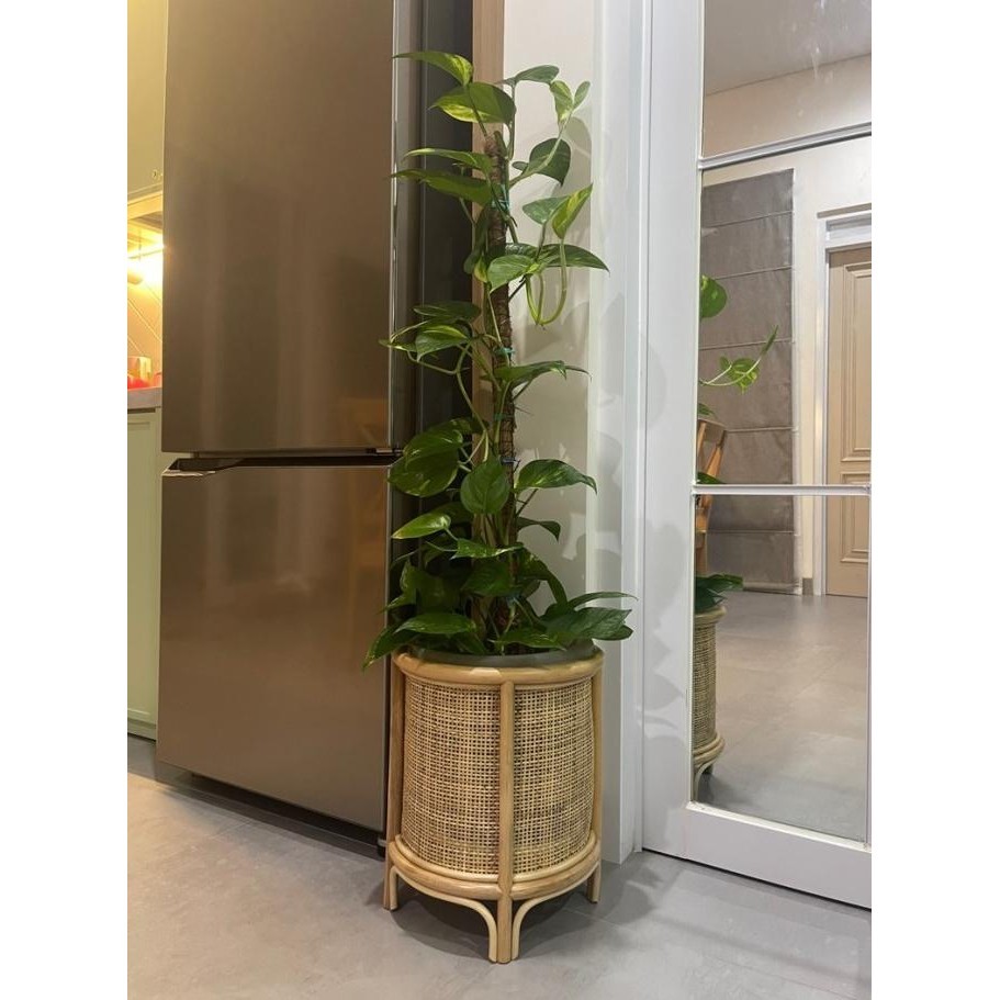 Pot Rotan Tinggi Vas Bunga Sudut/ Cover Pot Tanaman Rotan/ Home Decor