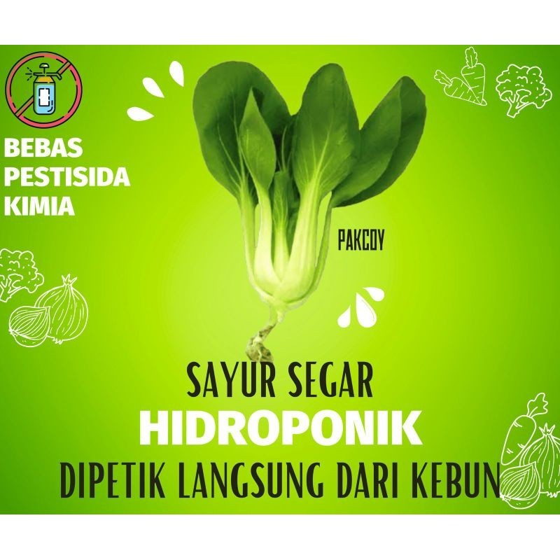 

{ 1 KILO } ( HIDROPONIK ) SAYUR SEGAR PAKCOY FRESH VEGETABLE POKCOY PACOY POKCHOY