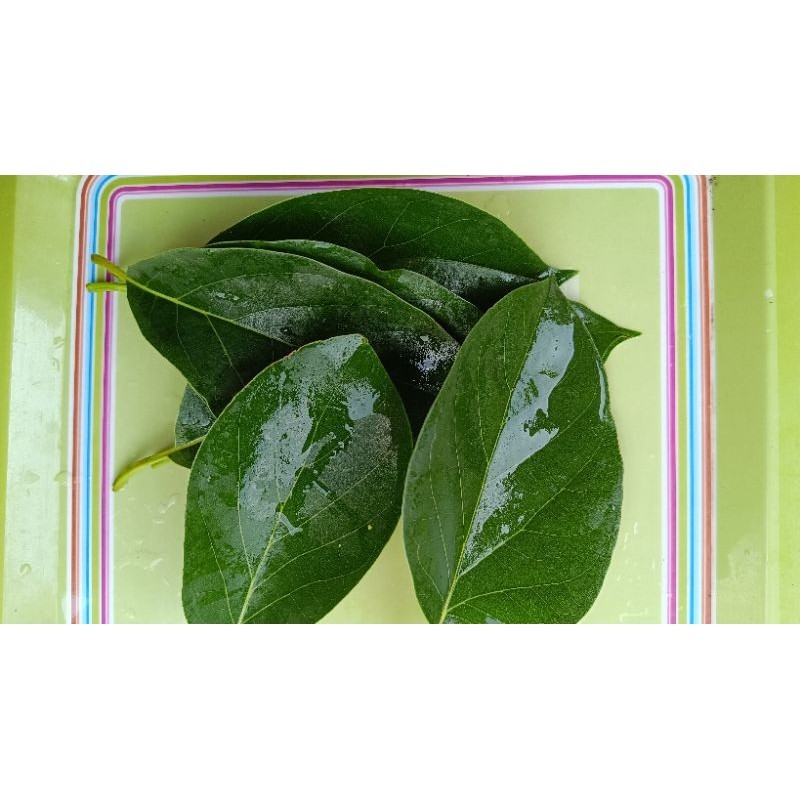 

Daun Juwet/Duwet Fresh