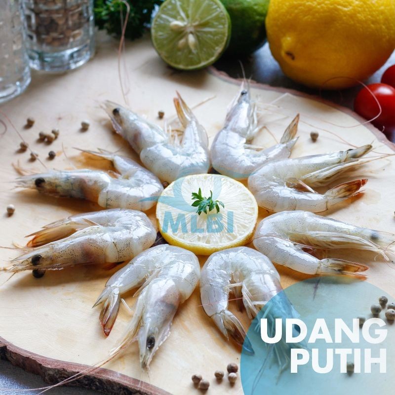 

Udang Vanamei Fresh