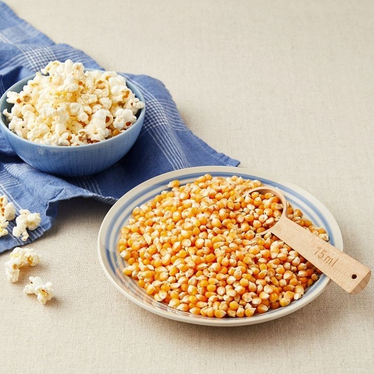 Gratis Bonus - 10 Bibit Benih Jagung Popcorn