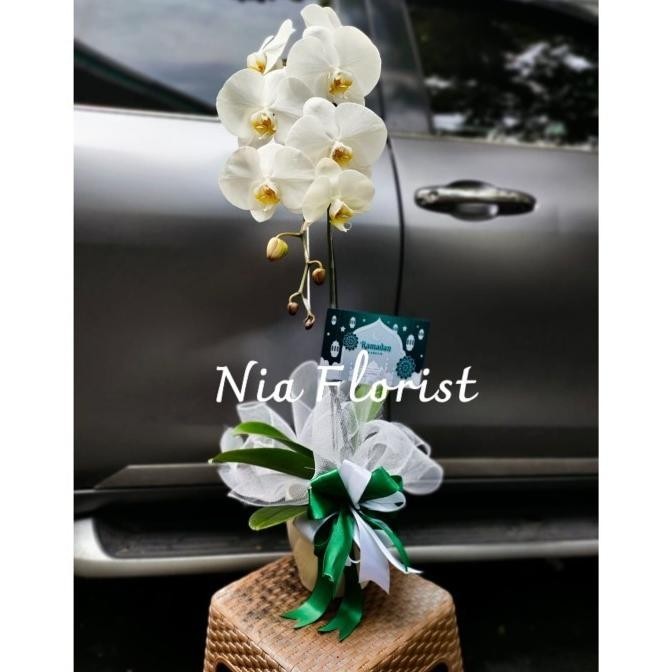 

Barang Terlaris Hampers Idul Fitri Ready Emyrastore