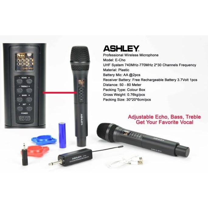 mic wirelees ashley echo e cho / ECHO original ashley