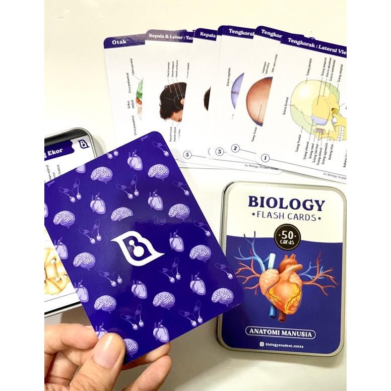 

Be09 Biology Flashcards Premium Edition by biology student notes Sale