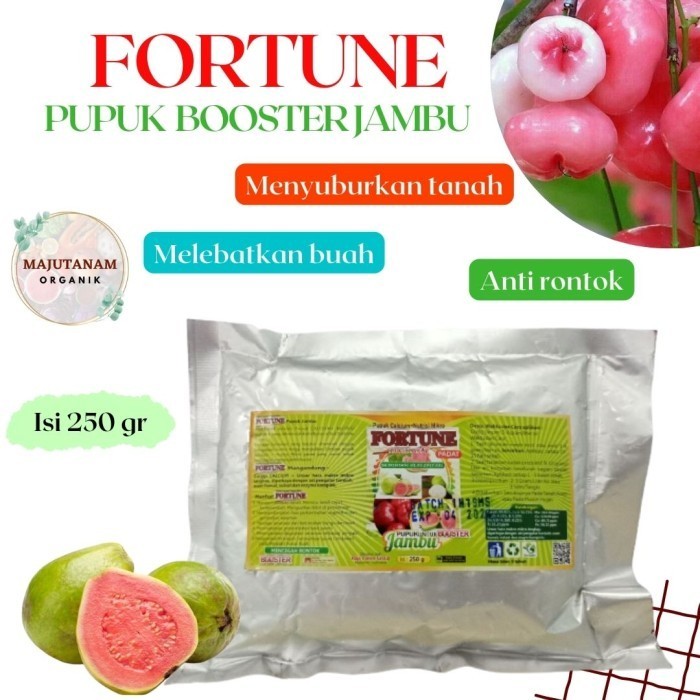 Booster Jambu Pupuk Pohon Jambu Air, Pupuk Pembuahan Jambu Air