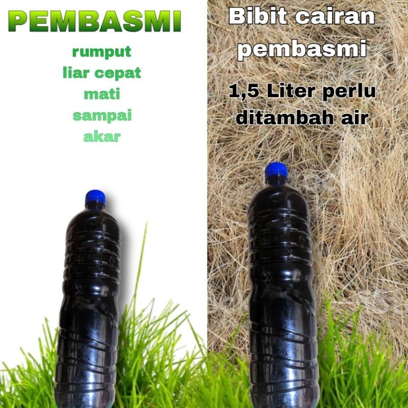 HERBISIDA KONTAK 1,5 LITER, PEMBASMI RUMPUT AMPUH TERMURAH