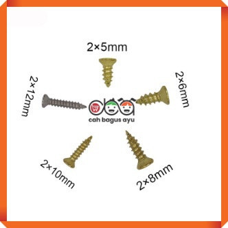 Baut Mini 2x5mm Sekrup Kecil Gold Silver Bronze 2 x 5 mm Skrup  1PC /G169