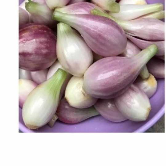

bawang sumenep kupas per 250 gram