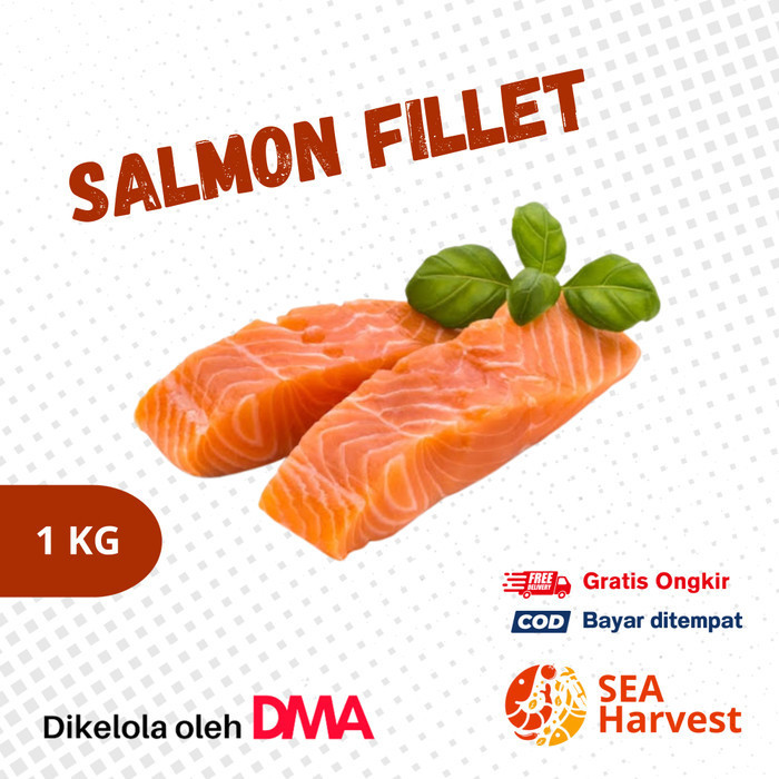 

Ayala - Ikan Salmon Fillet Premium Seafood Fresh Frozen Beku 100 / 200 Gram