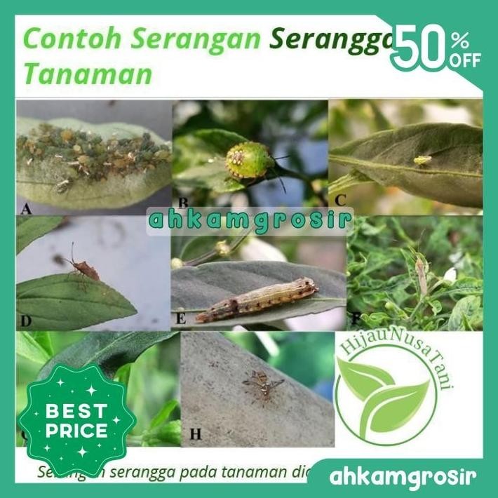 REGENT 50SC 50 ML RED - INSEKTISIDA PLUS ZPT PEMBASMI SERANGGA TANAMAN TERBAIK