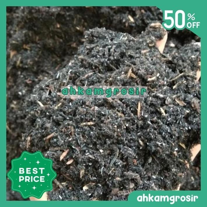 MEDIA TANAM TANAMAN HIAS INDOOR / AGLONEMA - THUKUL ALAMI KARUNGAN TERLARIS