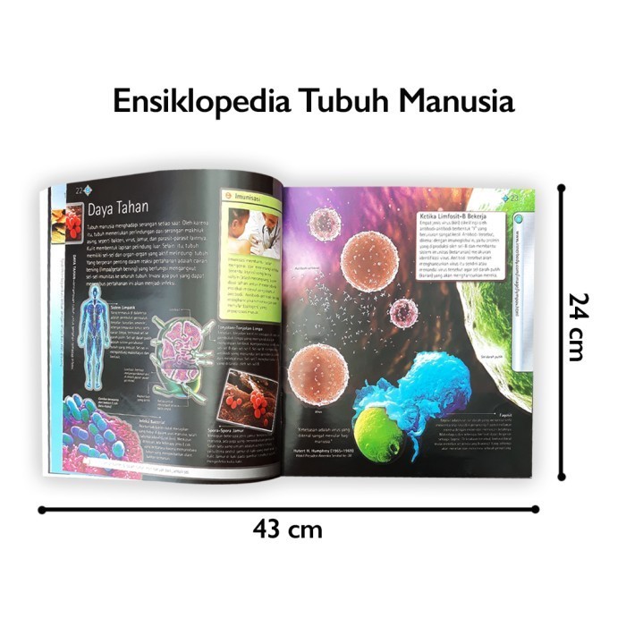 Buku Ensiklopedia Tubuh Manusia Terjemahan Kingfisher Mcmillan Asli