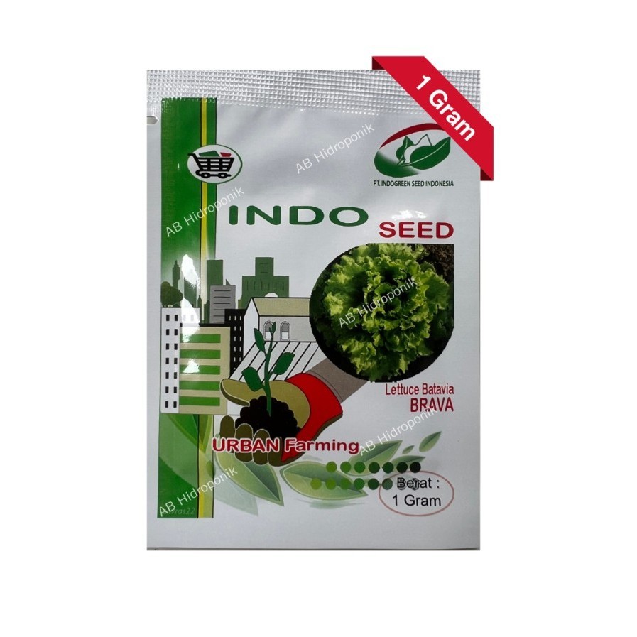 Benih Selada Brava Batavia Lettuce Enza Zaden Indogreen Indoseed 1 Gr