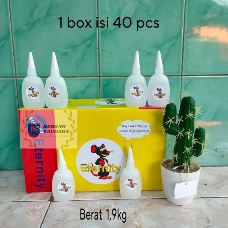 

Banyak Diskon!!! Lem Alteco Korea Eternity Jumbo Gambar Tikus 1Box (40 Pcs)