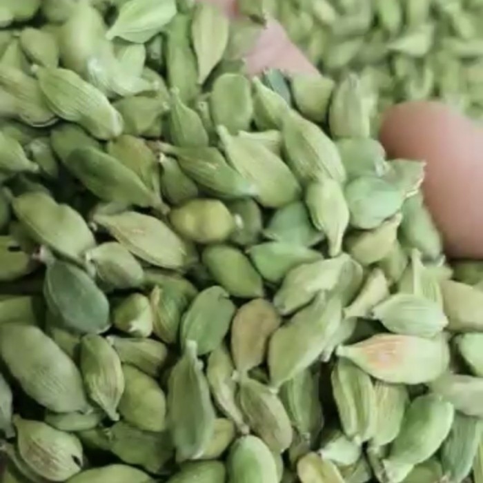 

Kapulaga Hijau 1Kg Kapulaga India Kapol India Green Cardamom 1 Kg