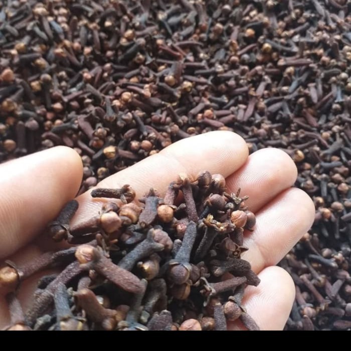 

Cengkeh Kering (Cloves) Super - 1 Kg